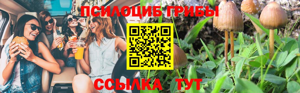 Псилоцибиновые грибы Magic Shrooms  Вход с VPN  Орехово-Зуево 